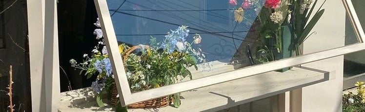 aster Discord Server Banner