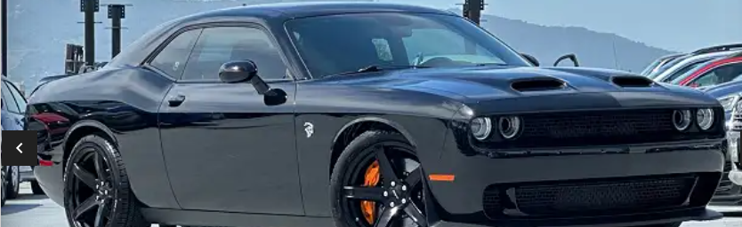 Paralyzed Paradise Discord Server Banner