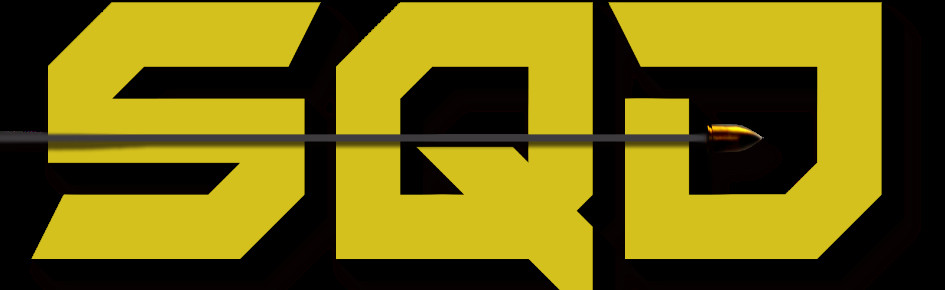 Source of Quality Directives Discord Server Banner