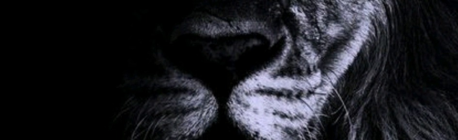 Senhores, network,resenha Discord Server Banner