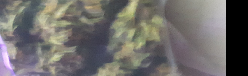 Smoking Area Discord Server Banner