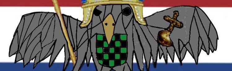 PickovacPM Discord Server Banner