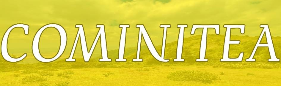 Cominitea Discord Server Banner