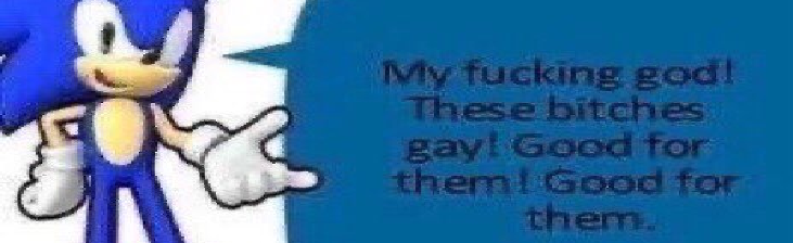 Renist Regime Discord Server Banner