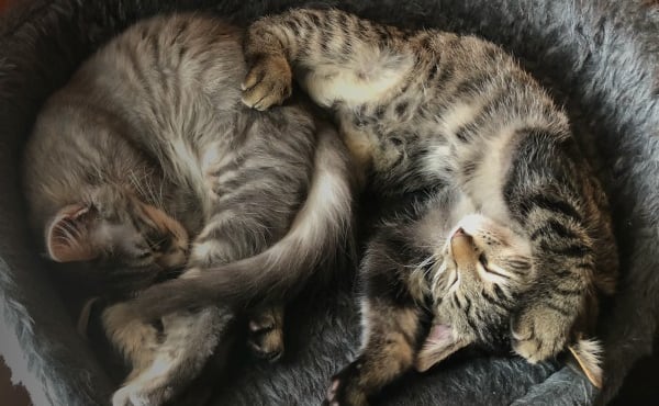 the yeet server Discord Server Banner