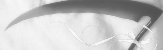 𝔸𝕟𝕘𝕖𝕝𝕤 𝕕𝕦𝕘𝕖𝕠𝕟 Discord Server Banner