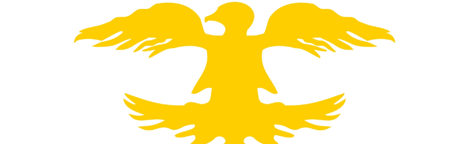 Hunlar Discord Server Banner