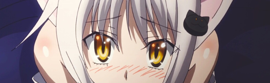 Kitty Cats 🐈 Discord Server Banner