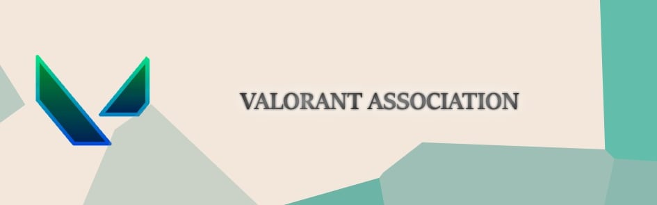 Valorant Association Discord Server Banner