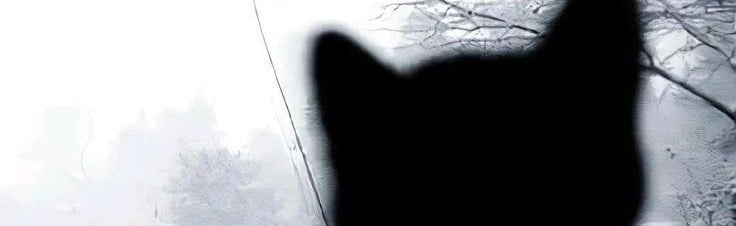 JuvsMarket — Pets & Trading Discord Server Banner