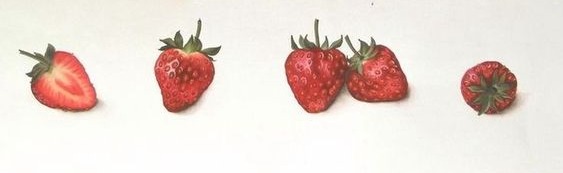 𝒊𝒍𝒍𝒖𝒎𝒊𝒏𝒂 𝜗𝜚 ꒰15-19꒱ Discord Server Banner