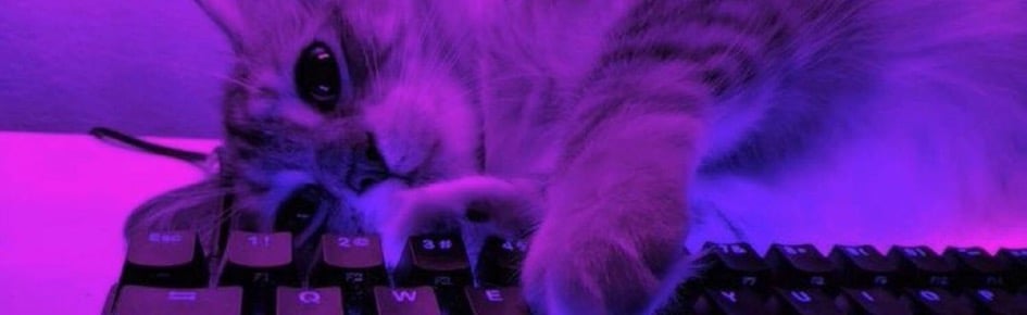 The Girlies Discord Server Banner