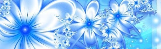 ༺☀🌊Aquatic Affinity🌊☀༻ Discord Server Banner