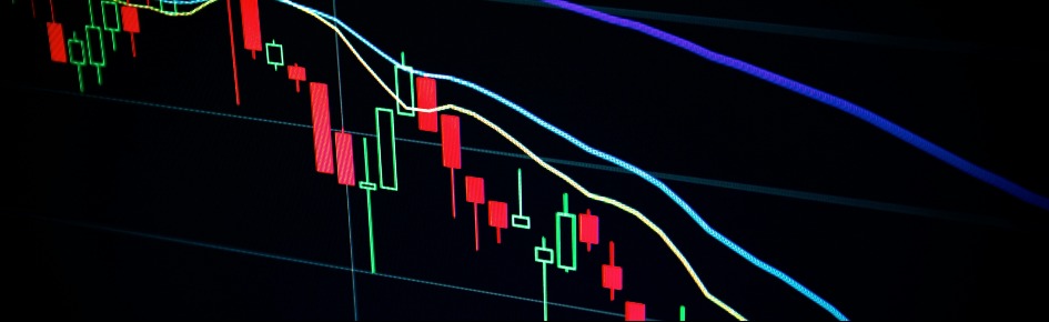 HumCap Network Discord Server Banner