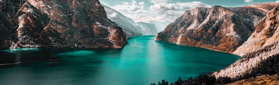 Server Promotion Hub - Post/Find Discord Server Banner