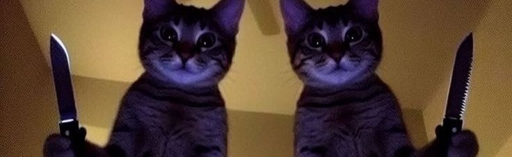 Moon Cafe Discord Server Banner