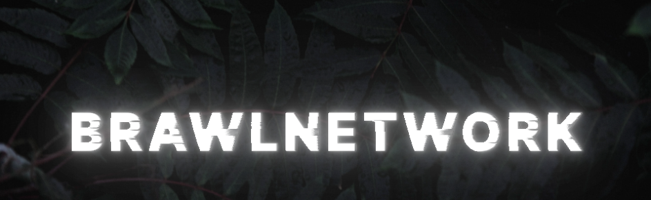 Brawlnetwork Discord Server Banner