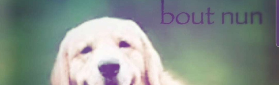 Is That A Mozkey? Discord Server Banner