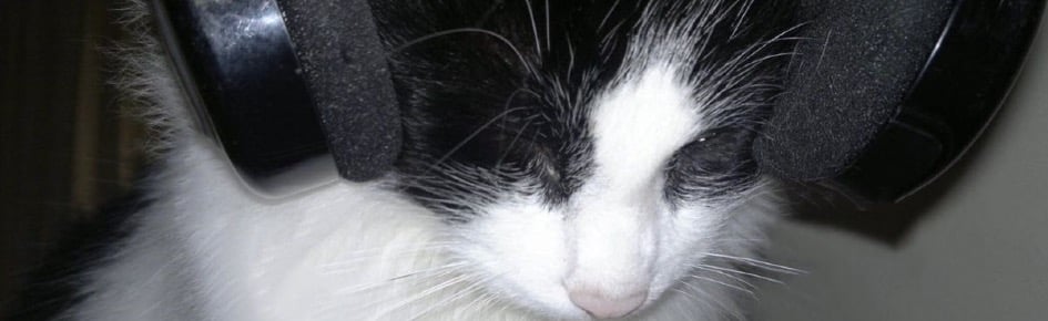 Saturn’s hangout Discord Server Banner