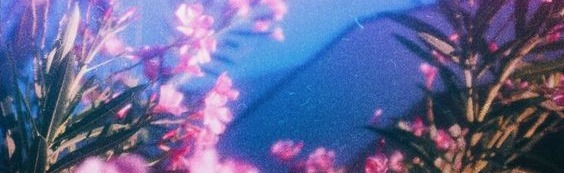 FLOWERFIELDS Discord Server Banner