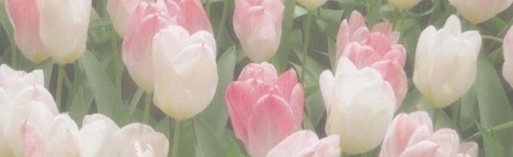 𝗔𝗹𝗶𝗰𝗲'𝘀 𝗴𝗮𝗿𝗱𝗲𝗻 Discord Server Banner