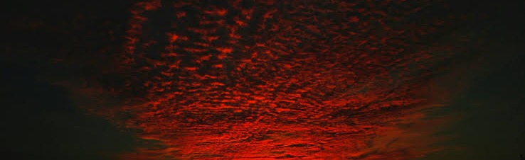 Tiosia Discord Server Banner