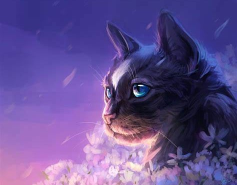 Cat Studios Discord Server Banner