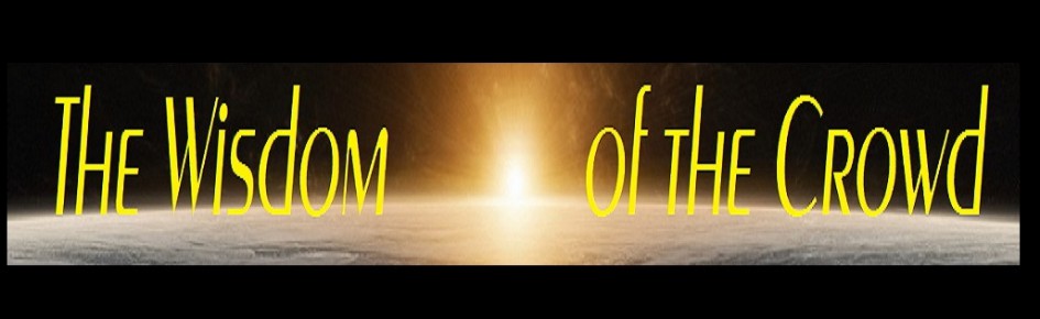 The wisdom of the crowd Discord Server Banner