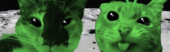 The Moonveil Crew Discord Server Banner