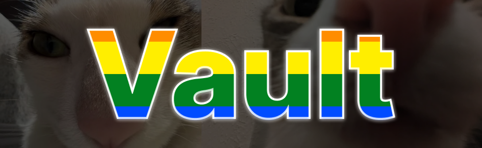 Vault 16+ Discord Server Banner