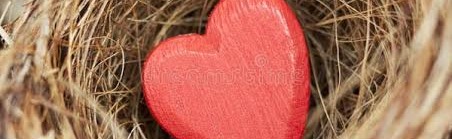 TheNest🤭 Discord Server Banner