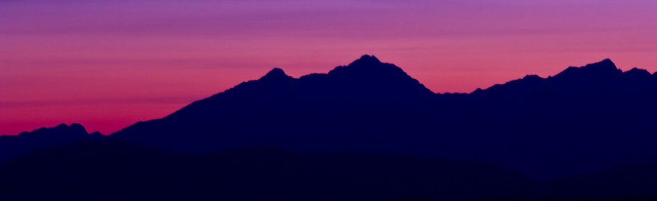 Deceit Portugal (Official) Discord Server Banner