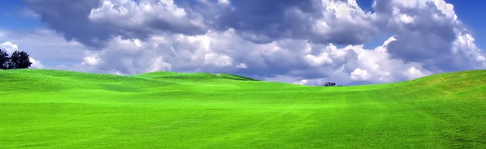 Atheists Graveyard Discord Server Banner