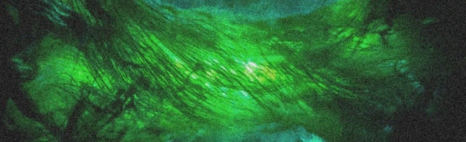 A's Bot Hub ४ Discord Server Banner