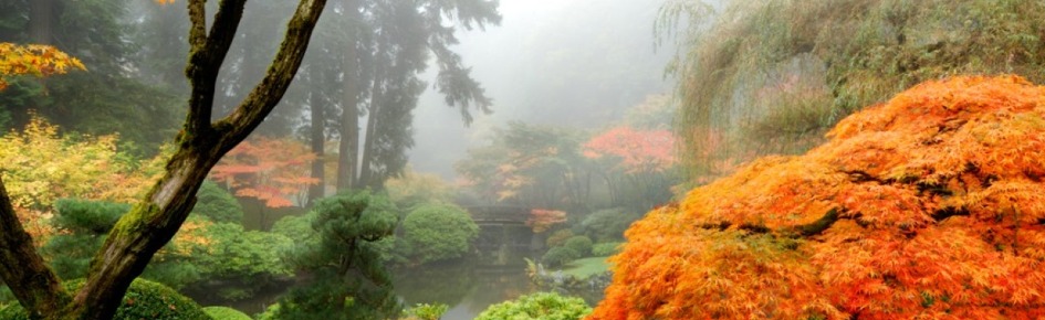 The Lounge Discord Server Banner