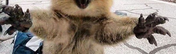 ibles sanctuary Discord Server Banner