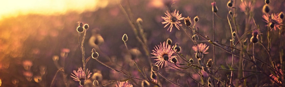 LoveLunairy - Crochet Club Discord Server Banner