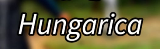 Hungarica Discord Server Banner