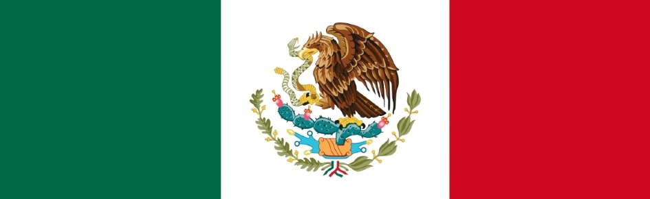 Mexico pixel Discord Server Banner