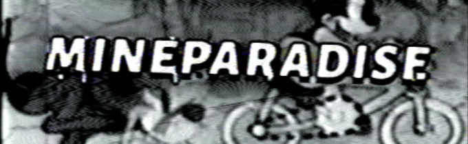 𝐌𝐢𝐧𝐞𝐏𝐚𝐫𝐚𝐝𝐢𝐬𝐞 (𝐒 𝟔) Discord Server Banner