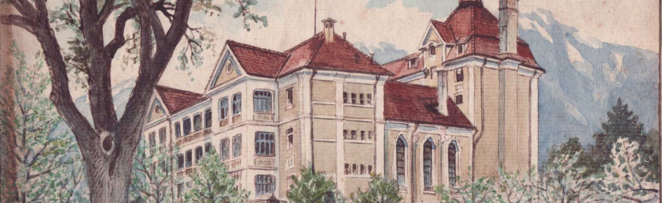 Scholae Romania Discord Server Banner