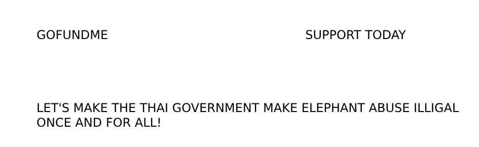 STOP ANIMAL ABUSE Discord Server Banner