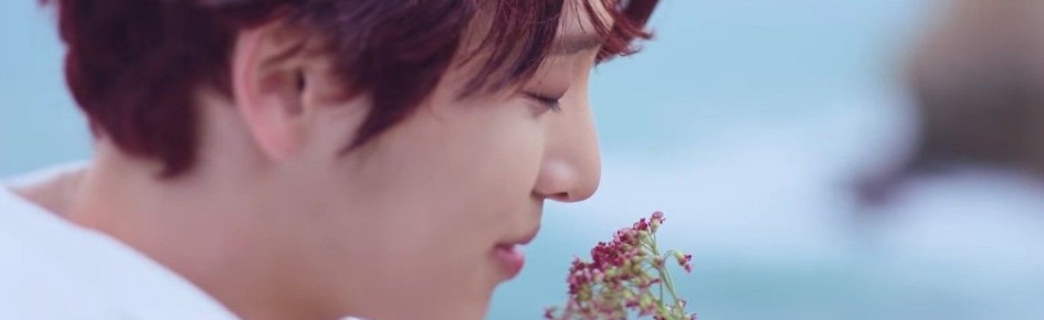 komorebi ✦ Discord Server Banner