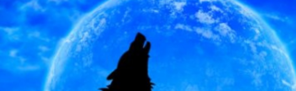 Midnight Howl Discord Server Banner