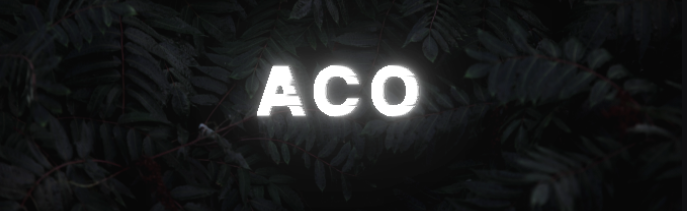 ACO serveur Discord Server Banner