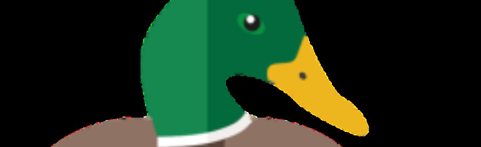 ?Duck | Selling? Discord Server Banner