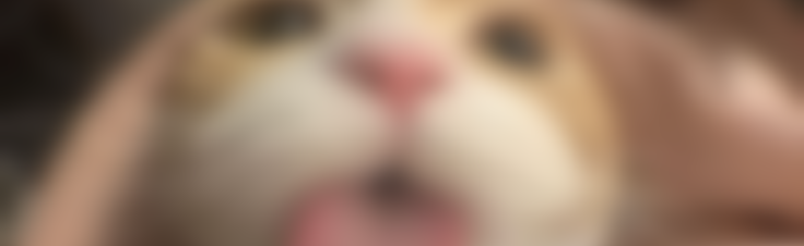 ChloLeen Discord Server Banner