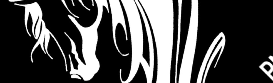 Pônei malditos Discord Server Banner