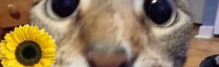 Femboyslandd Discord Server Banner