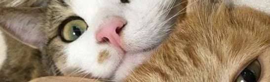 Pixel-UV Discord Server Banner